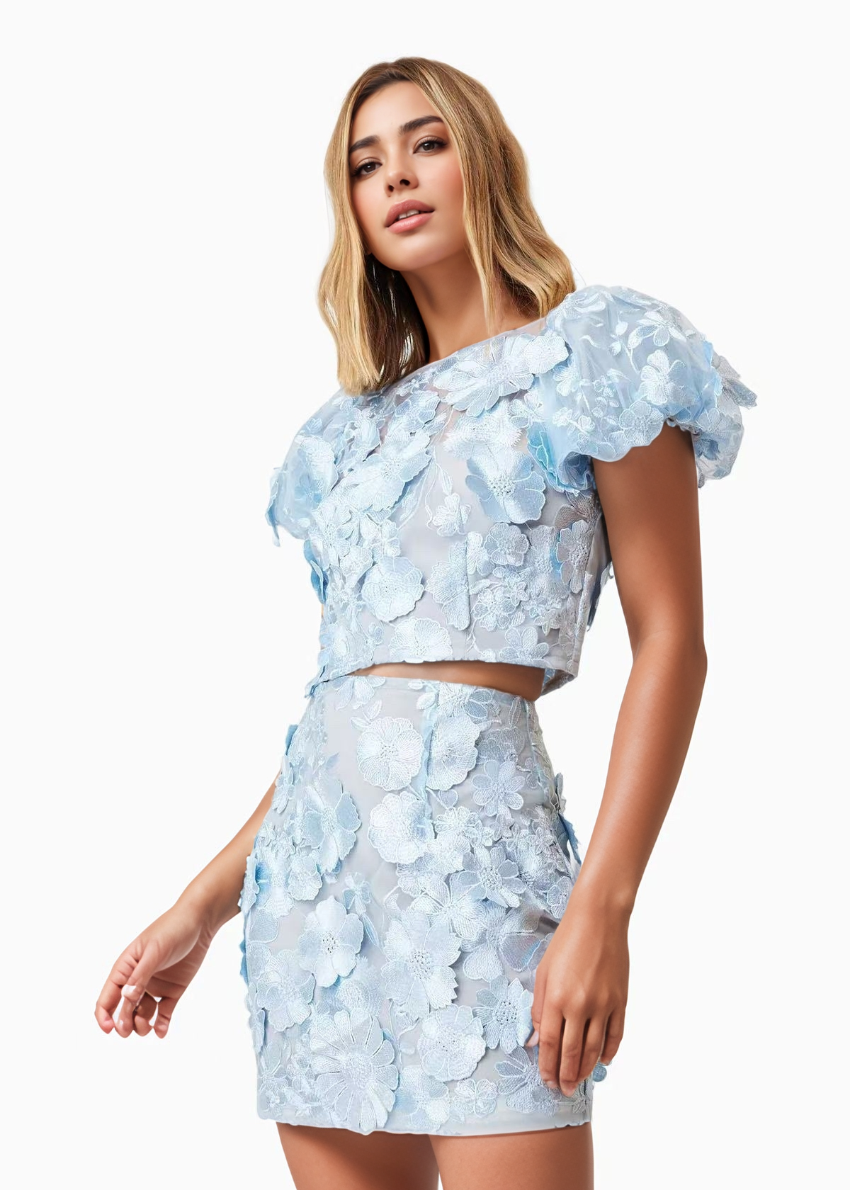 Elegance Embroidered Skirt Set