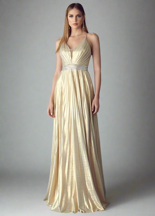 Delia Gold Pleated Gown