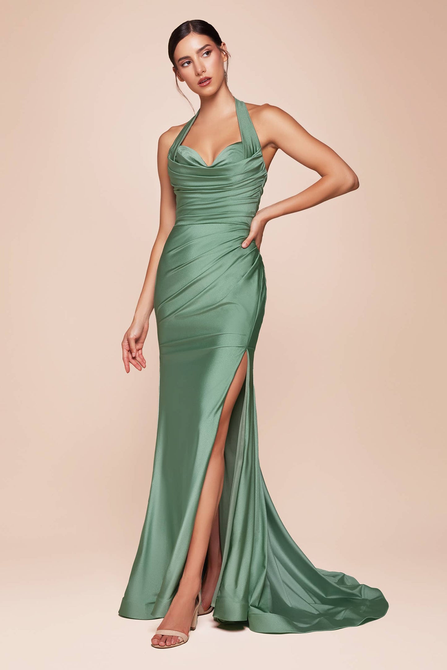 Halter Fitted Jersey Gown