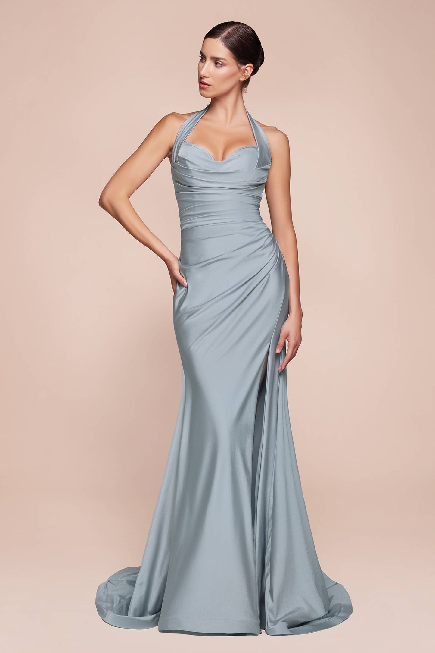 Halter Fitted Jersey Gown