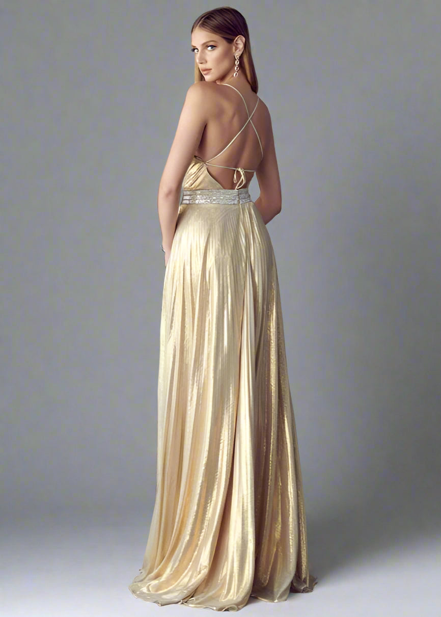 Delia Gold Pleated Gown