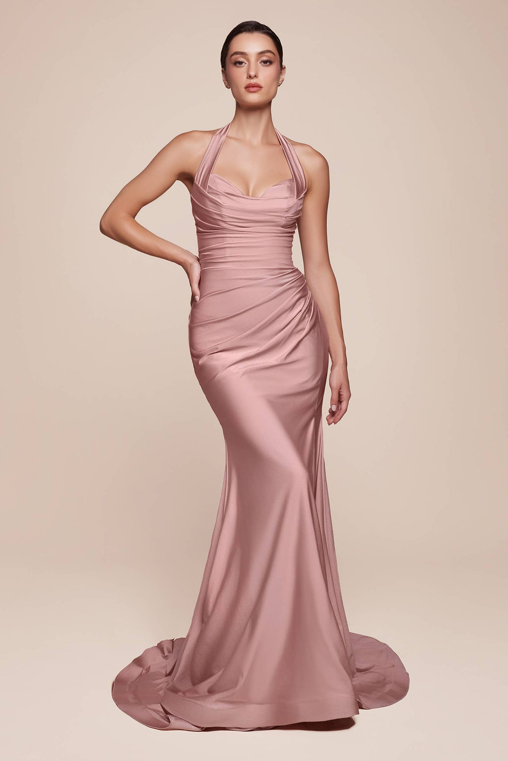 Halter Fitted Jersey Gown