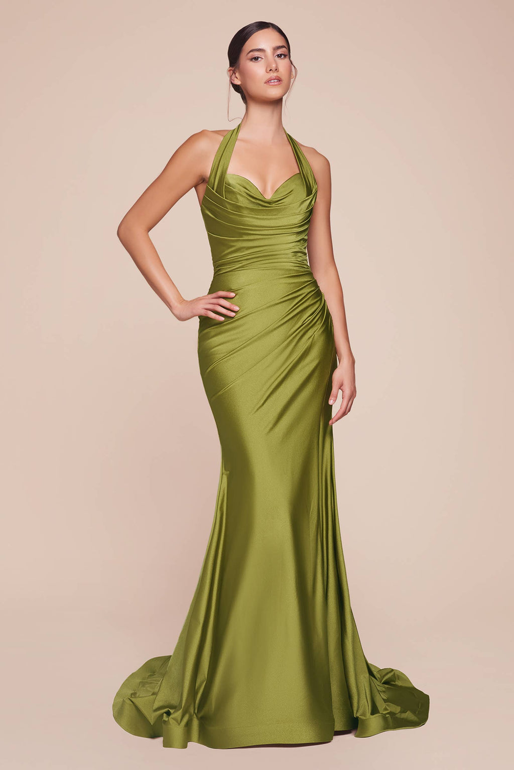 Halter Fitted Jersey Gown