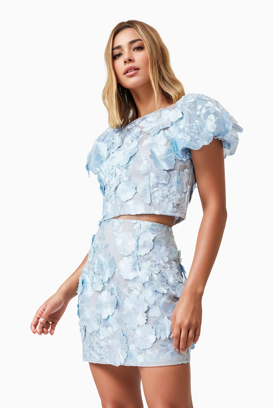 Elegance Embroidered Top and Skirt Set