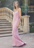 Ice Pink Velvet Sequin Gown