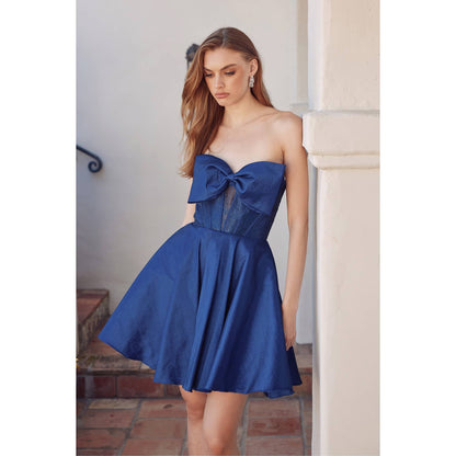 Strapless Corset Fit & Flare Short Dress JT961A