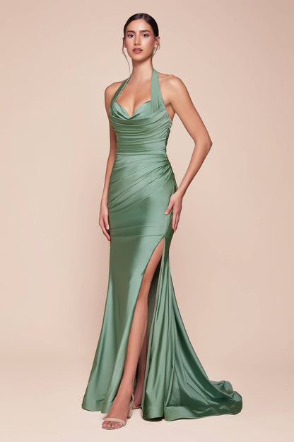 Halter Fitted Jersey Gown