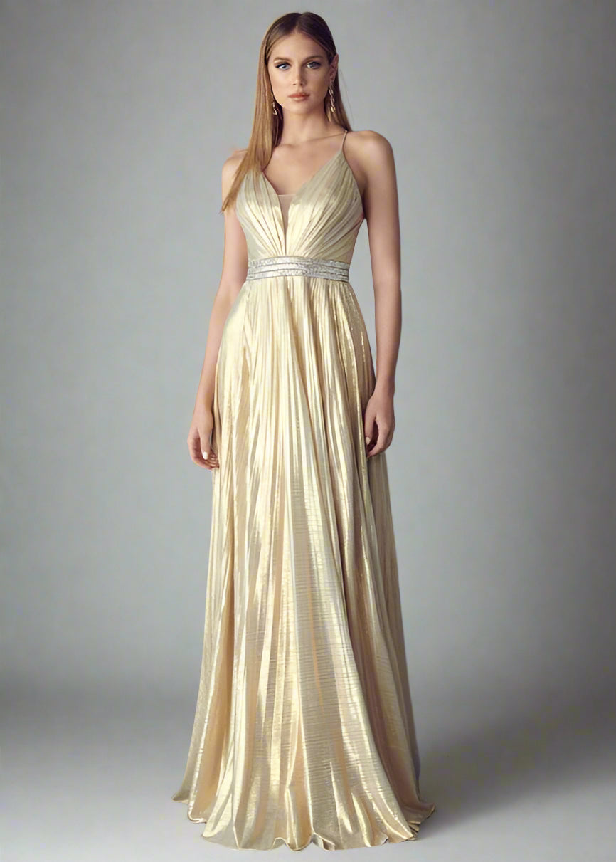 Delia Gold Pleated Gown