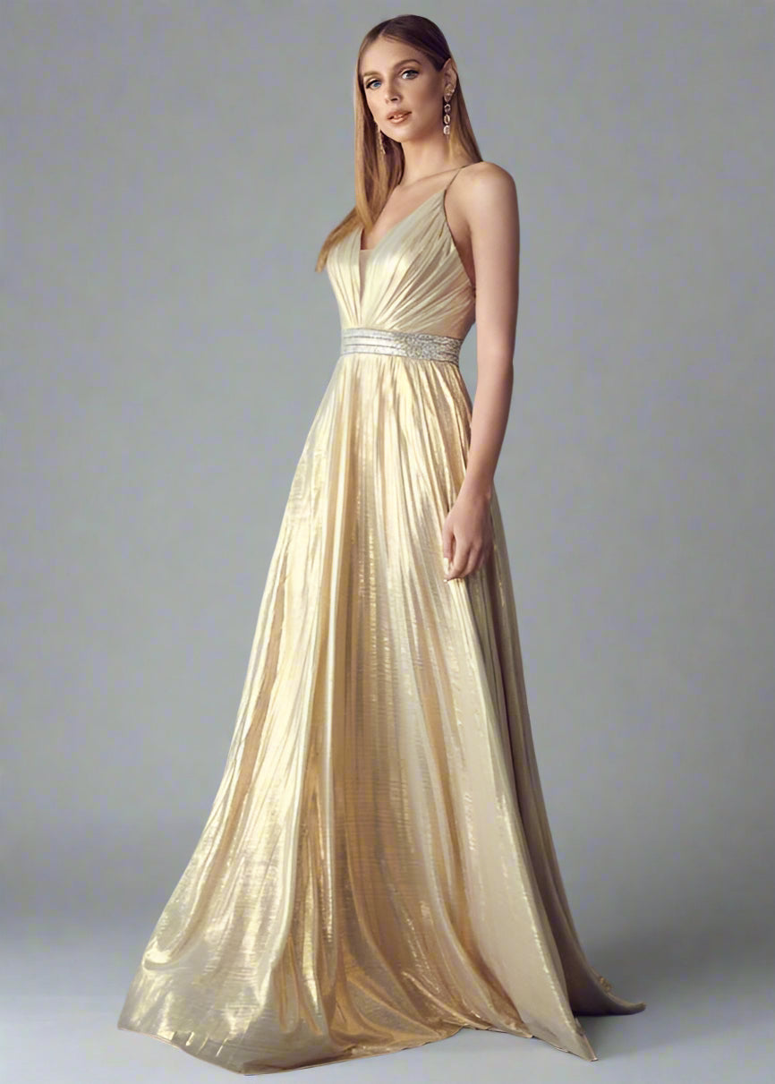Delia Gold Pleated Gown