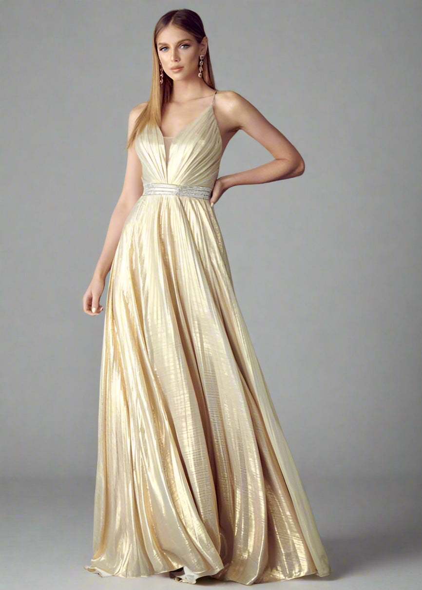 Delia Gold Pleated Gown