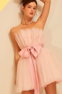 Rose Blush Big Ribbon Mini Dress