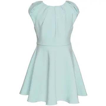Little's Fit and Flare Scuba Dress