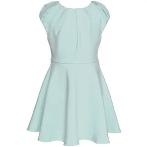 Little's Fit and Flare Scuba Dress
