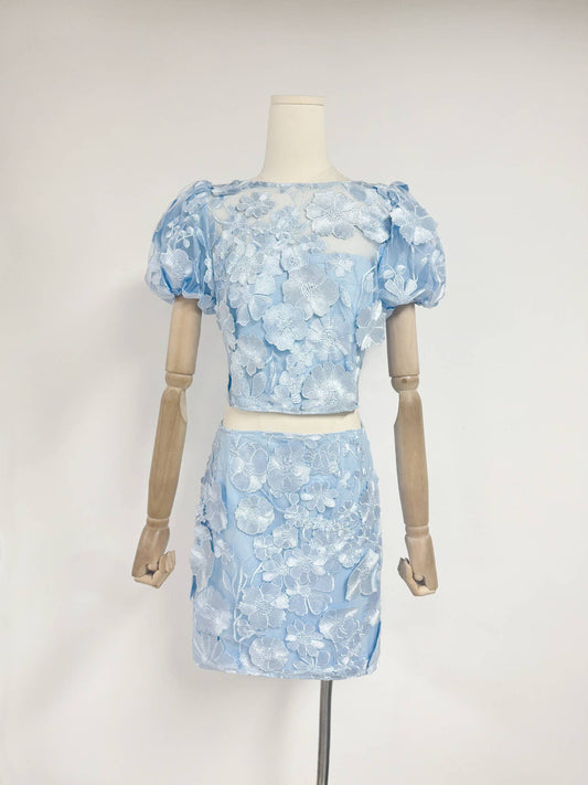 Elegance Embroidered Top and Skirt Set