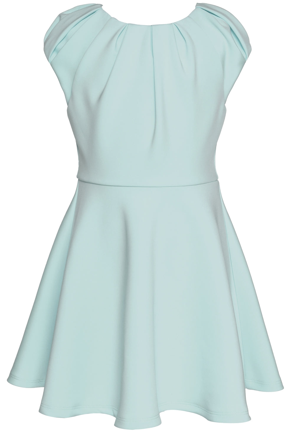 Little's Fit and Flare Scuba Dress