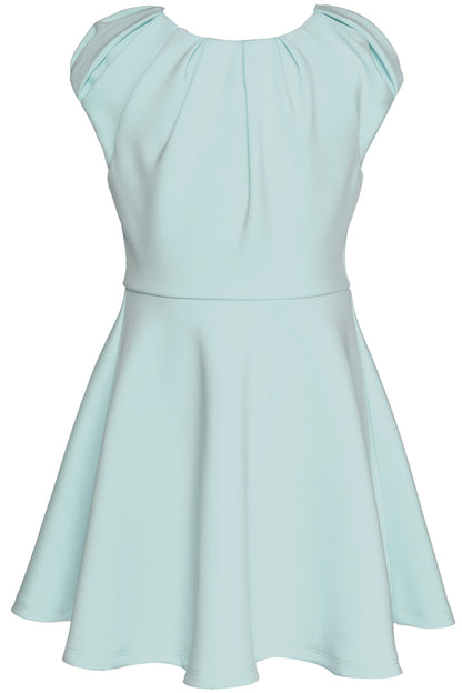 Little's Fit and Flare Scuba Dress